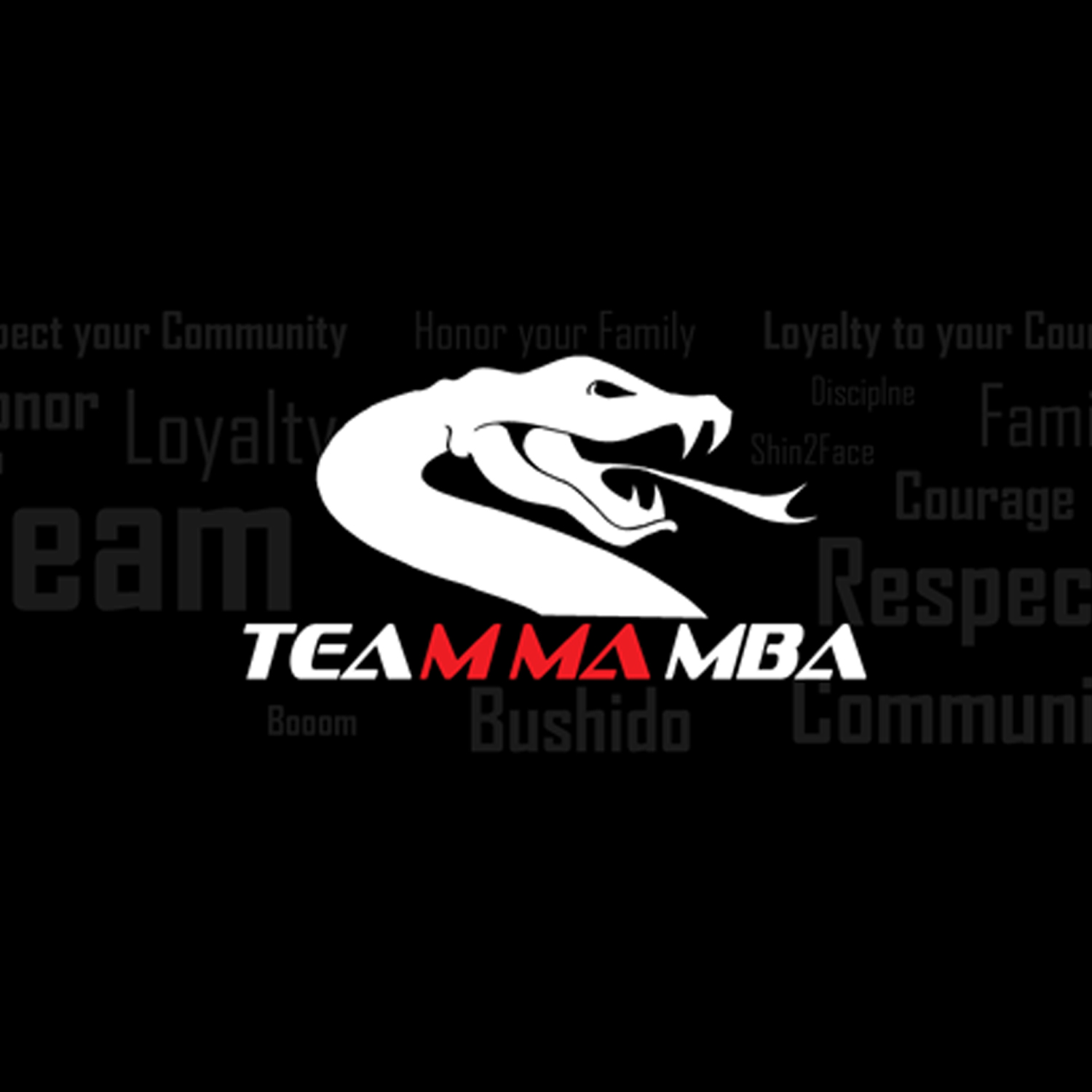 Mamba MMA testimonial2
